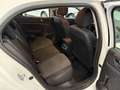 Renault Megane 1.5dCi Blue Business 85kW Blanco - thumbnail 12