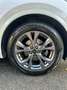 Ford Kuga Kuga 1.5 ecoblue ST-Line Design 2wd 120cv auto - thumbnail 28
