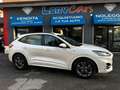 Ford Kuga Kuga 1.5 ecoblue ST-Line Design 2wd 120cv auto - thumbnail 6