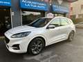 Ford Kuga Kuga 1.5 ecoblue ST-Line Design 2wd 120cv auto - thumbnail 5