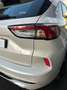 Ford Kuga Kuga 1.5 ecoblue ST-Line Design 2wd 120cv auto - thumbnail 25