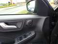 Ford Kuga ST Line X FHEV AHK-Panoramadach - Black Package/Ma Grigio - thumbnail 11