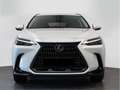 Lexus NX 450h+ Executive 4WD - thumbnail 5