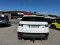 Land Rover Range Rover Evoque 2.0 TD4 150 HSE BVA MARK V Blanc - thumbnail 6