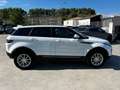 Land Rover Range Rover Evoque 2.0 TD4 150 HSE BVA MARK V Blanc - thumbnail 7