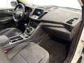 Ford Kuga Kuga II 2017 1.5 ecoboost Business s Bianco - thumbnail 15