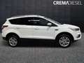 Ford Kuga Kuga II 2017 1.5 ecoboost Business s Bianco - thumbnail 5
