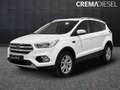 Ford Kuga Kuga II 2017 1.5 ecoboost Business s Bianco - thumbnail 1