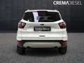Ford Kuga Kuga II 2017 1.5 ecoboost Business s Bianco - thumbnail 4