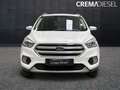 Ford Kuga Kuga II 2017 1.5 ecoboost Business s Bianco - thumbnail 3