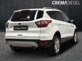 Ford Kuga Kuga II 2017 1.5 ecoboost Business s Bianco - thumbnail 2
