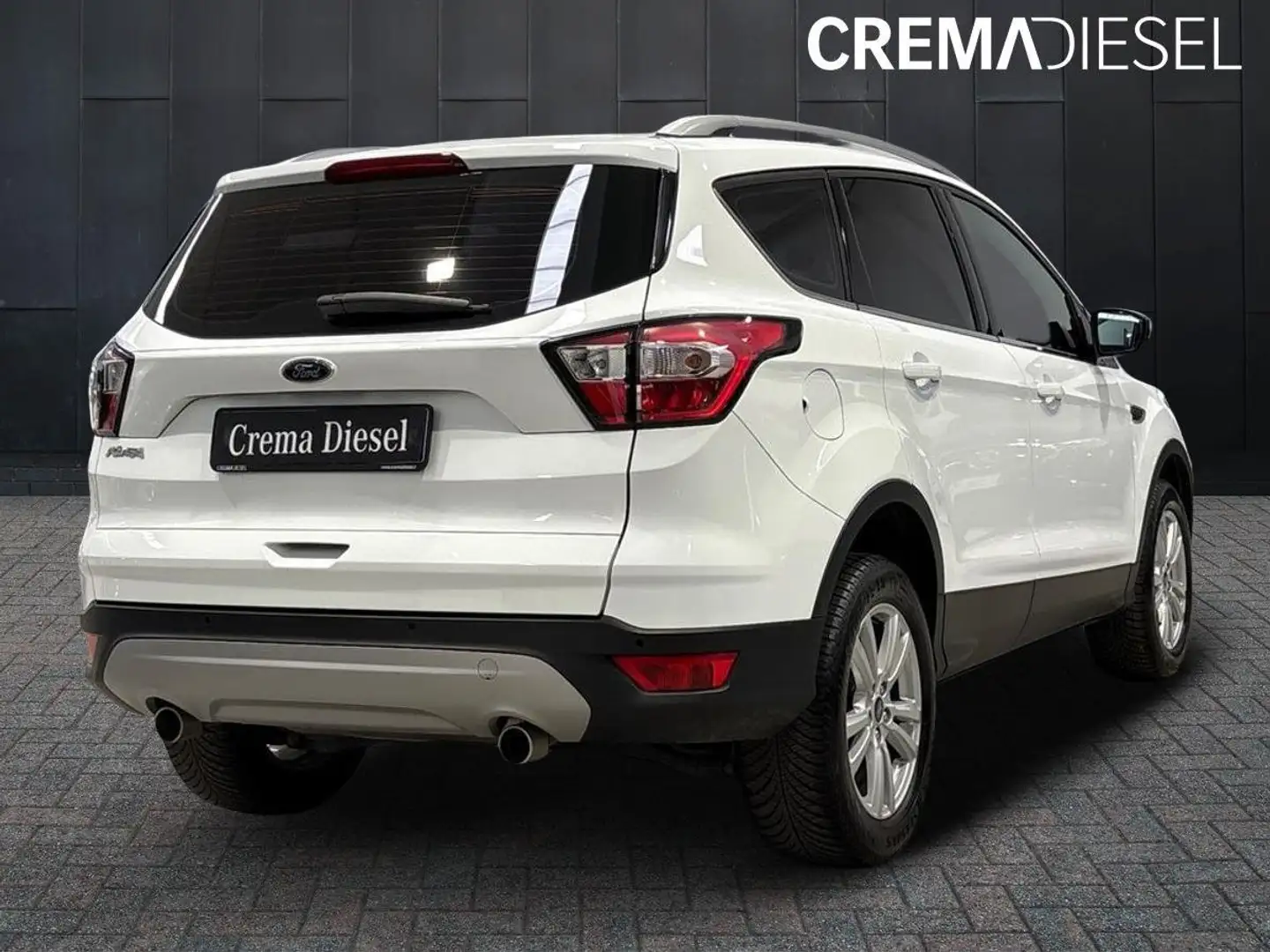 Ford Kuga Kuga II 2017 1.5 ecoboost Business s Bianco - 2