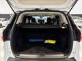 Ford Kuga Kuga II 2017 1.5 ecoboost Business s Bianco - thumbnail 8