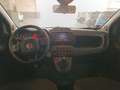 Fiat Panda My24 1.0 70cv Hybrid Panda Blu/Azzurro - thumbnail 12