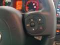 Fiat Panda My24 1.0 70cv Hybrid Panda Blu/Azzurro - thumbnail 14