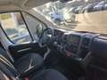 Opel Movano Cargo 140 3,5t L1H1 Edition Klimaauto Weiß - thumbnail 6