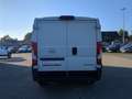 Opel Movano Cargo 140 3,5t L1H1 Edition Klimaauto Weiß - thumbnail 2
