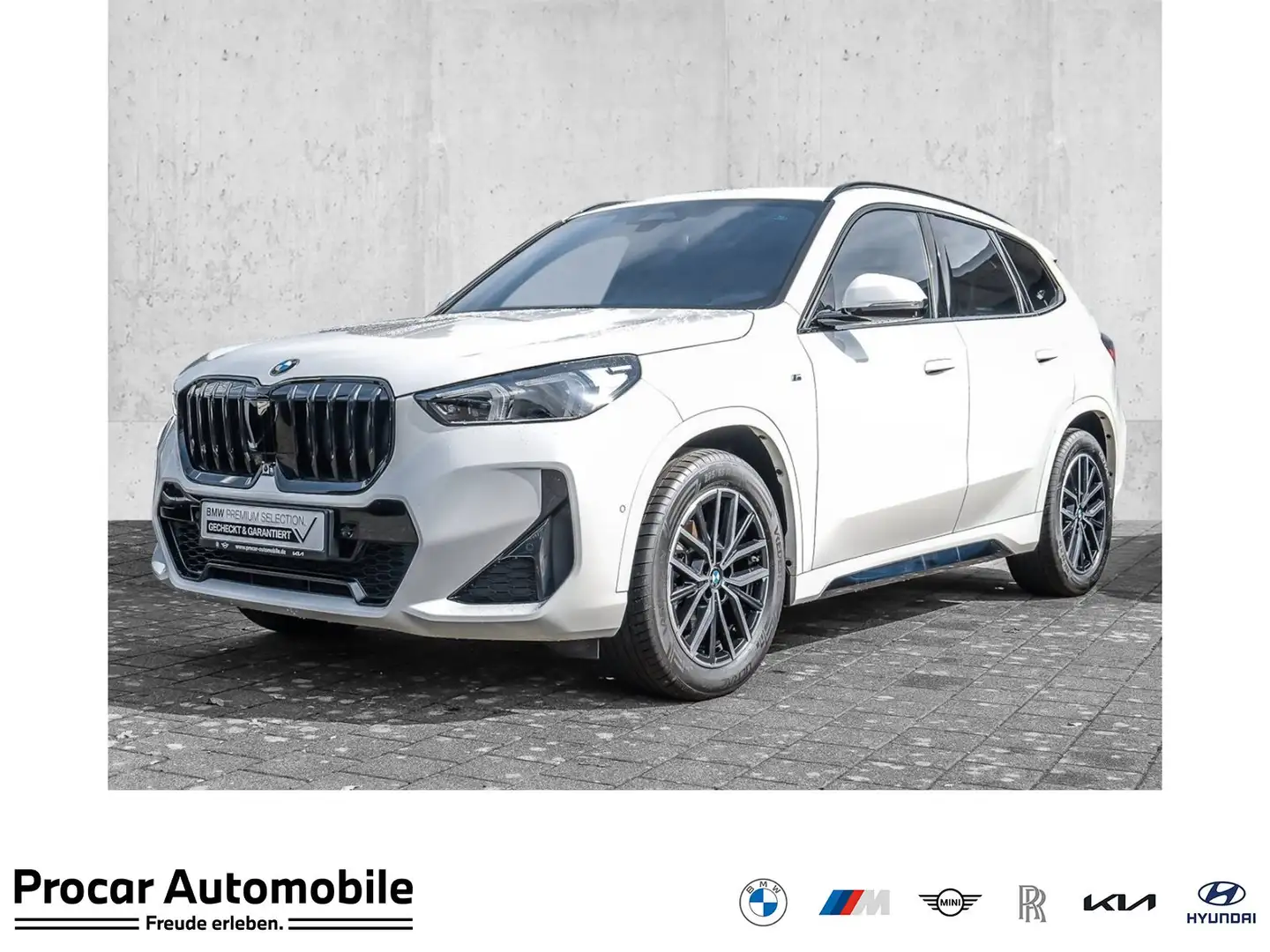 BMW X1 sDrive18i M Sport HUD RFK NAVI LED PDC V+H Weiß - 1