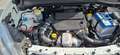Fiat Doblo 1.3 MJT WORK-UP CASSONATO - thumbnail 15