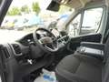 Fiat Ducato 35 L3H2 140 AT/Abstandstemp.+Schwingsitz Blanc - thumbnail 11