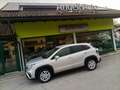 Suzuki S-Cross 1.4 Hybrid Top 4WD Bianco - thumbnail 7