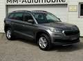 Skoda Kodiaq 2.0 TDI 4x4*MY23*RFK*SHZ*PDC*LED*ACC*uvm Grau - thumbnail 1