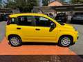 Fiat Panda 1.0 FireFly S&S Hybrid PRONTA CONSEGNA! KM ZERO! Geel - thumbnail 6