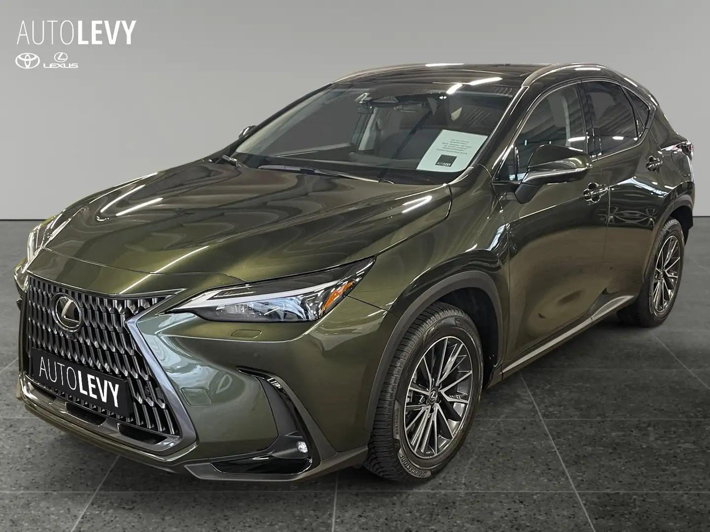Lexus NX 350h Executive Line +360°Kamera+CarPlay+ - 2