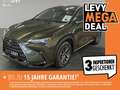 Lexus NX 350h Executive Line +360°Kamera+CarPlay+ - thumbnail 1