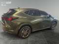 Lexus NX 350h Executive Line +360°Kamera+CarPlay+ - thumbnail 6