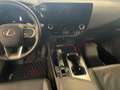 Lexus NX 350h Executive Line +360°Kamera+CarPlay+ - thumbnail 11