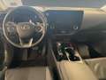Lexus NX 350h Executive Line +360°Kamera+CarPlay+ - thumbnail 10