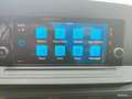 Volkswagen Caddy Cargo 2.0 TDI 102 cv Business Prezzo+IVA Bianco - thumbnail 13