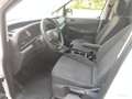 Volkswagen Caddy Cargo 2.0 TDI 102 cv Business Prezzo+IVA Bianco - thumbnail 10