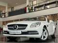 Mercedes-Benz SLK 200 CGI Roadster Airscarf Navi Leder Shzg Blanco - thumbnail 20