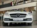 Mercedes-Benz SLK 200 CGI Roadster Airscarf Navi Leder Shzg Blanco - thumbnail 5