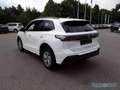 Volkswagen Tiguan 2.0 TDI DSG R-LINE AHK PANO HUD MATRIX Weiß - thumbnail 7
