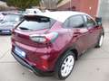 Ford Puma ST Vivid Ruby Edition/Nav/Leder/Kamera/Sitz Rot - thumbnail 4
