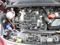 Ford Puma ST Vivid Ruby Edition/Nav/Leder/Kamera/Sitz Rot - thumbnail 30
