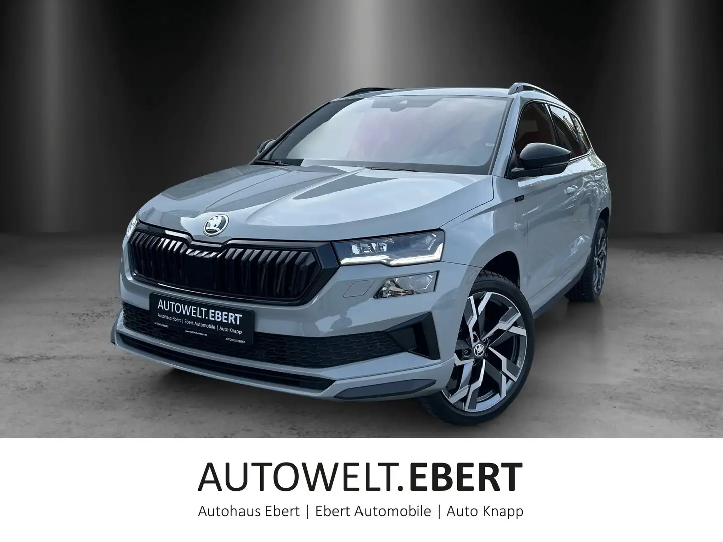 Skoda Karoq 2.0 TDI Sportline 4x4/VIRTUAL/ACC/PANO/CAM Grijs - 1