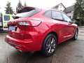 Ford Kuga Plug-In Hybrid ST-Line X *AHK*ACC*LED*NAVI* Rouge - thumbnail 6