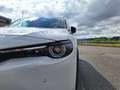 Mazda MX-30 GTE+ Premium Modern/Tech Weiß - thumbnail 30