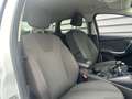 Ford Focus 1.6 TDCI 115CH FAP STOP\u0026START TITANIUM 5P Blanc - thumbnail 7