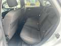 Ford Focus 1.6 TDCI 115CH FAP STOP\u0026START TITANIUM 5P Blanc - thumbnail 14