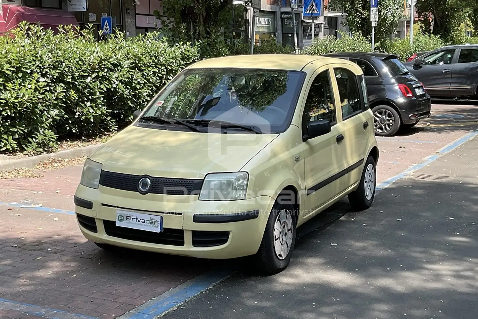 Fiat Panda Panda 1.1 Active Giallo - 1