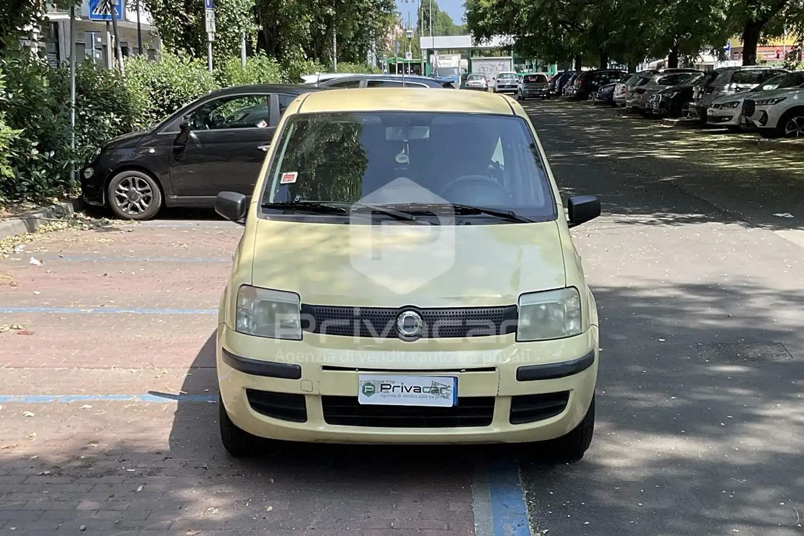 Fiat Panda Panda 1.1 Active Giallo - 2