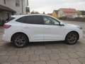 Ford Kuga Plug-In Hybrid ST-Line, AHK, Panoramadach Weiß - thumbnail 5