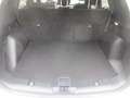 Ford Kuga Plug-In Hybrid ST-Line, AHK, Panoramadach Weiß - thumbnail 23