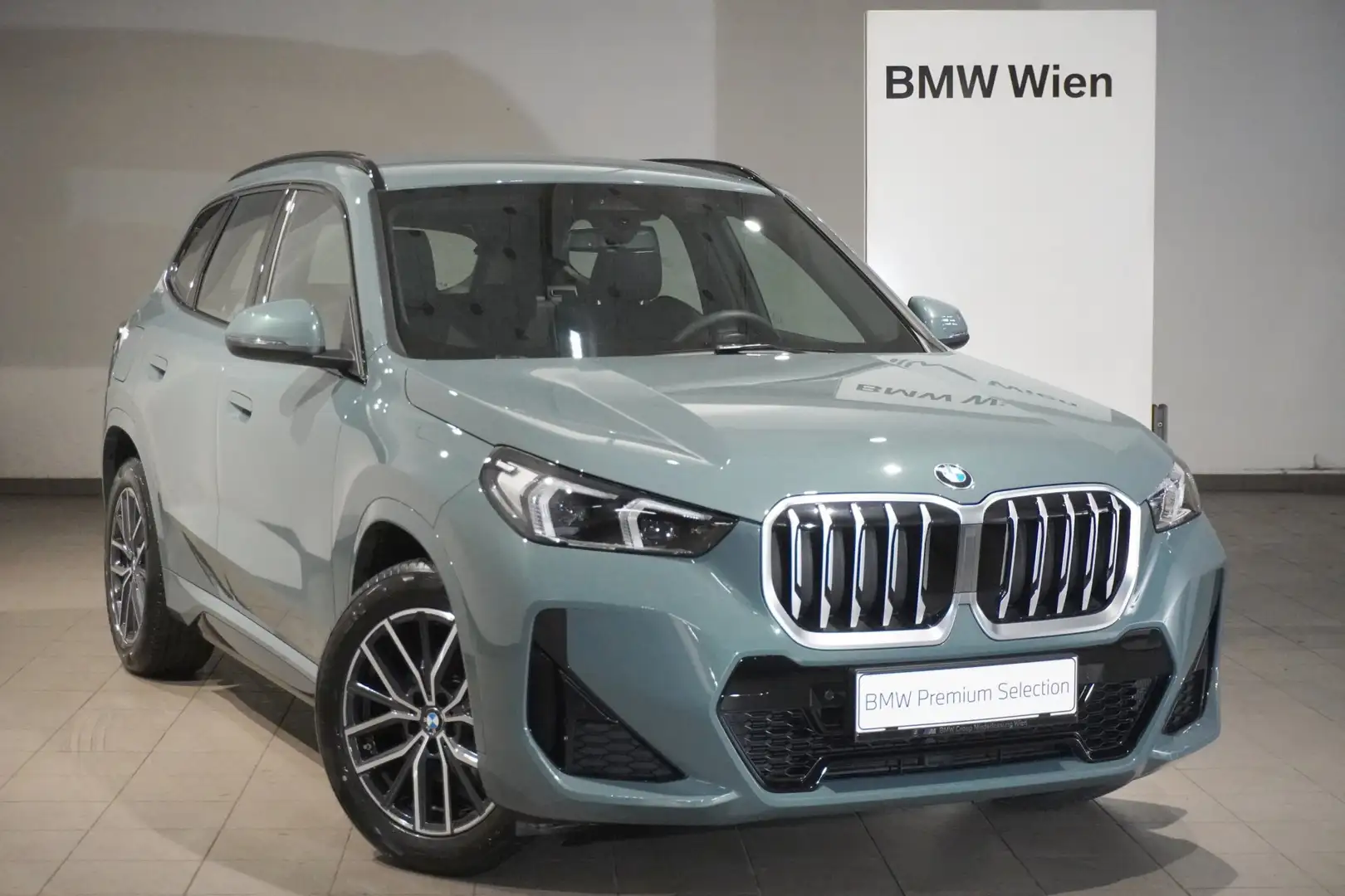 BMW X1 sDrive18i Grün - 1