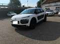 Citroen C4 Cactus BlueHDi 100 Shine OK NEOPATENTATI Bianco - thumbnail 7